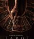 Tarot izle