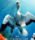 Küçük Deniz Kızı izle