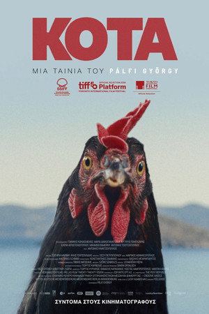 Tavuk (Κότα) Hen 2026